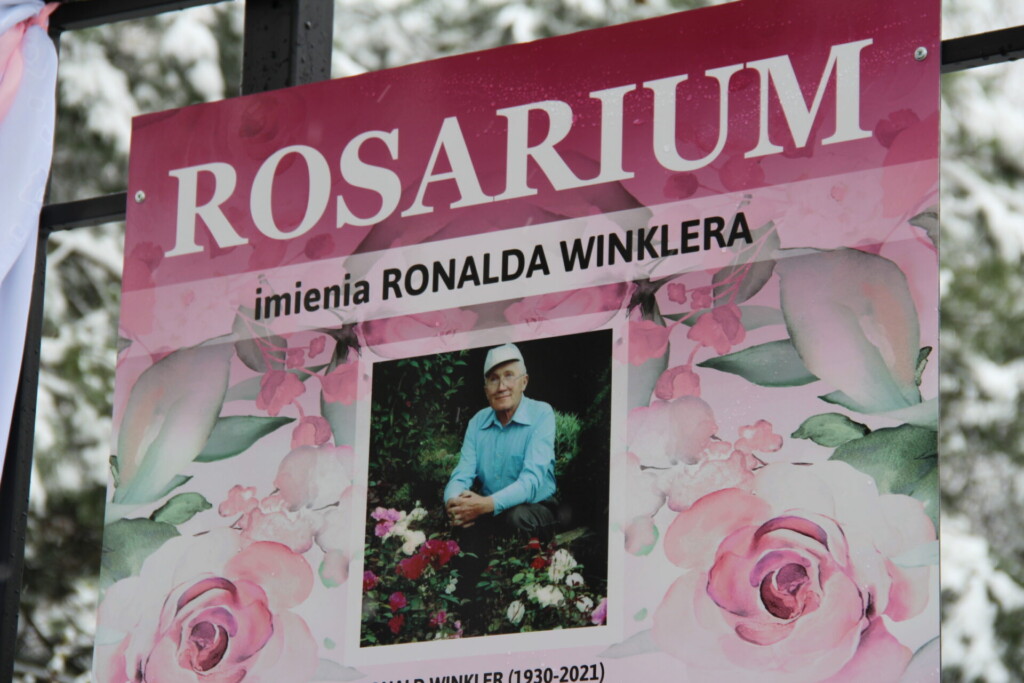 Tablica pamiątkowa w Rosarium im. Ronalda Winklera