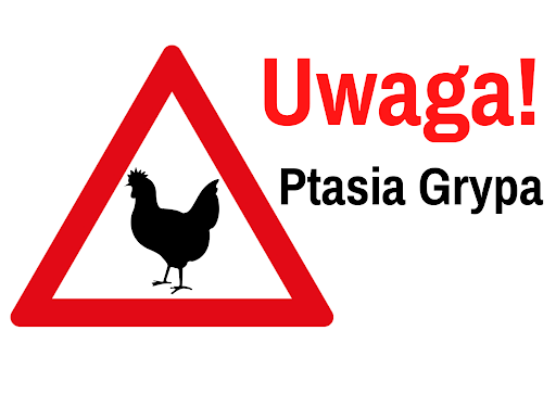 Grafika z napisem: Uwaga! Ptasia Grypa.