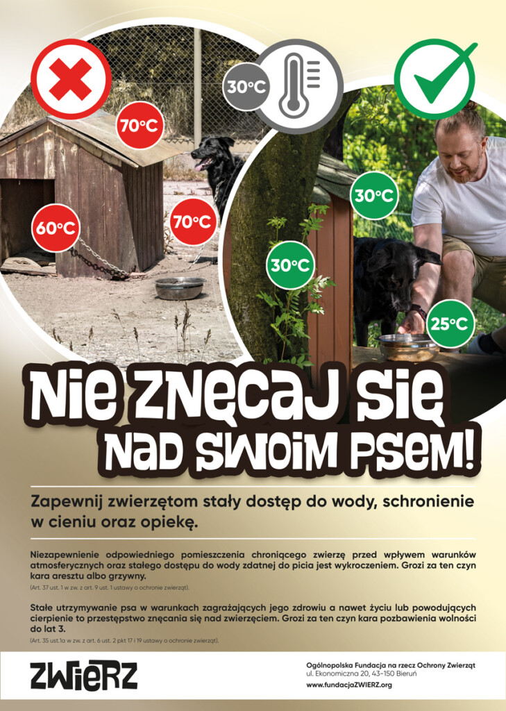 Plakat promocyjny - nie znęcaj się nad swoim psem. 