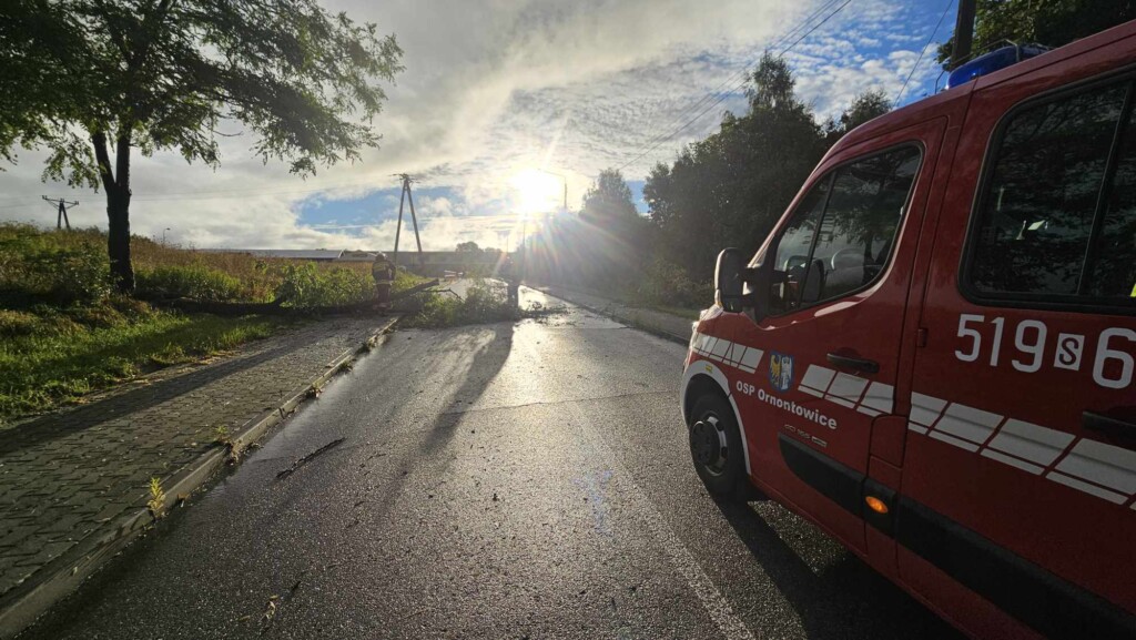 Zdjęcie z akcji Ochotniczej Straży Pożarnej Ornontowice. 