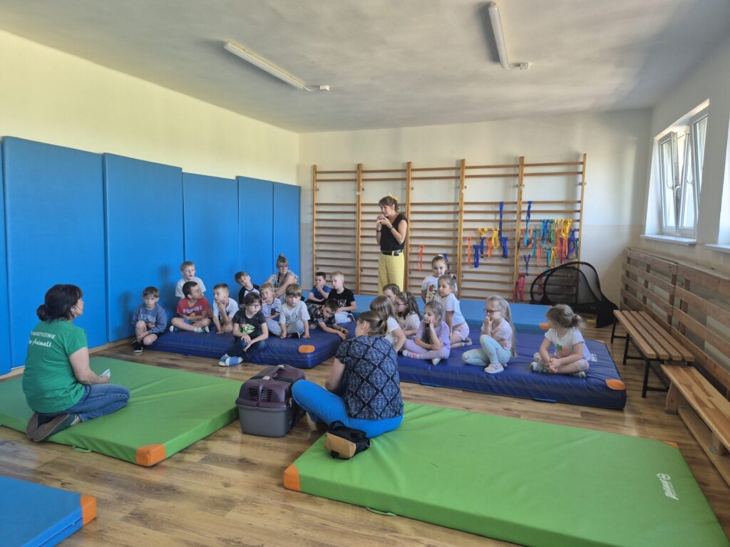 Zdjęcie z lekcji edukacyjnej.